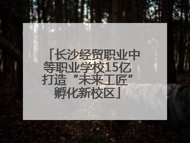 长沙经贸职业中等职业学校15亿打造“未来工匠”孵化新校区
