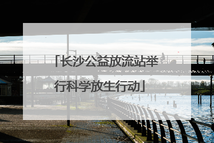 长沙公益放流站举行科学放生行动