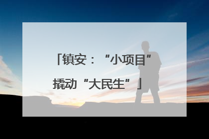 镇安：“小项目”撬动“大民生”