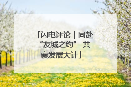 闪电评论｜同赴“友城之约” 共襄发展大计