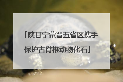 陕甘宁蒙晋五省区携手保护古脊椎动物化石