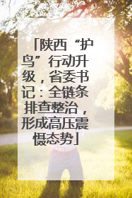 陕西“护鸟”行动升级，省委书记：全链条排查整治，形成高压震慑态势