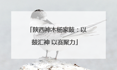 陕西神木杨家鼓：以鼓汇神 以赛聚力