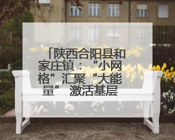 陕西合阳县和家庄镇：“小网格”汇聚“大能量” 激活基层治理新动能