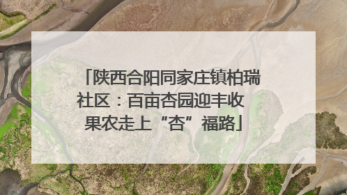 陕西合阳同家庄镇柏瑞社区：百亩杏园迎丰收 果农走上“杏”福路