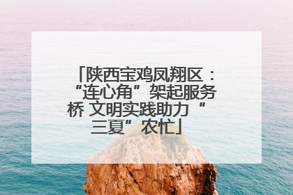 陕西宝鸡凤翔区：“连心角”架起服务桥 文明实践助力“三夏”农忙
