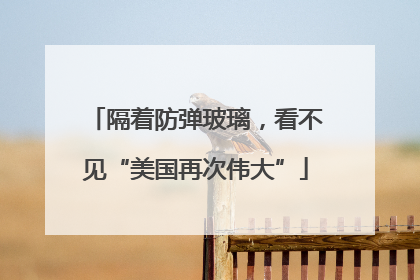 隔着防弹玻璃，看不见“美国再次伟大”