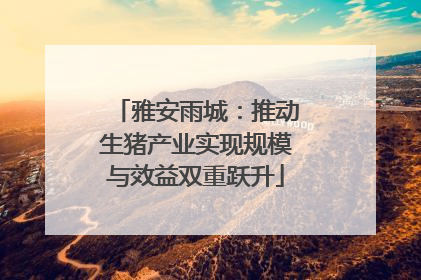 雅安雨城：推动生猪产业实现规模与效益双重跃升