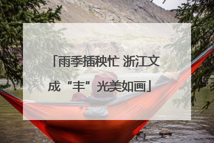 雨季插秧忙 浙江文成“丰”光美如画