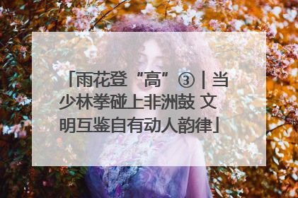雨花登“高”③｜当少林拳碰上非洲鼓 文明互鉴自有动人韵律