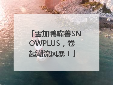雪加鸭嘴兽SNOWPLUS，卷起潮流风暴！