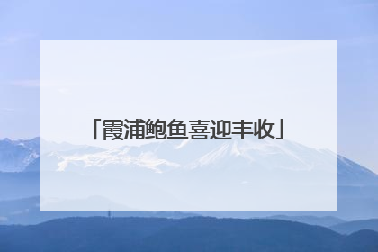 霞浦鲍鱼喜迎丰收