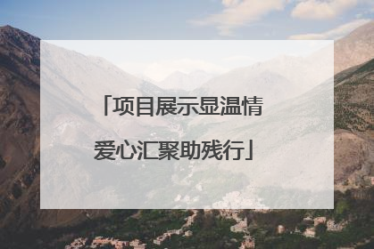 项目展示显温情 爱心汇聚助残行