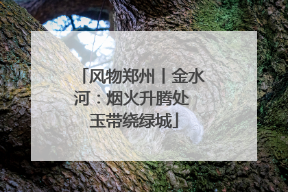 风物郑州丨金水河：烟火升腾处 玉带绕绿城
