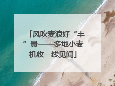 风吹麦浪好“丰”景——多地小麦机收一线见闻