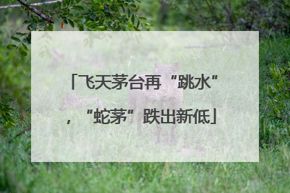 飞天茅台再“跳水”，“蛇茅”跌出新低