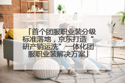 首个团服职业装分级标准落地，京东打造“研产销运洗”一体化团服职业装解决方案