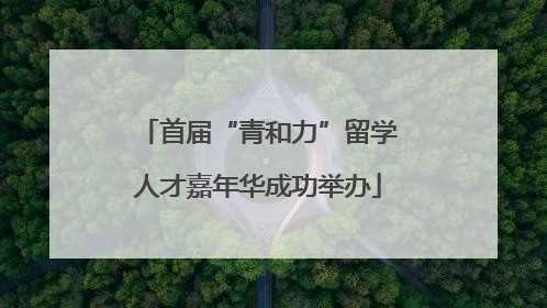 首届“青和力”留学人才嘉年华成功举办