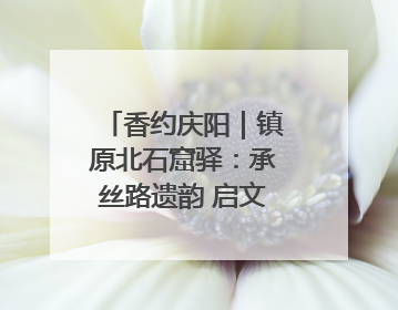 香约庆阳｜镇原北石窟驿：承丝路遗韵 启文旅创新篇章