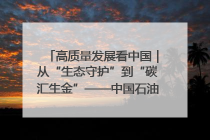 高质量发展看中国｜从“生态守护”到“碳汇生金”——中国石油大庆油田绿色蝶变