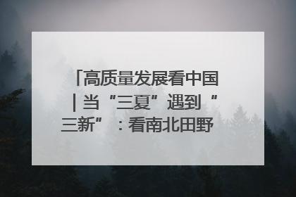 高质量发展看中国｜当“三夏”遇到“三新”：看南北田野里的科技共生记