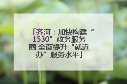 齐河：加快构建“1530”政务服务圈 全面提升“就近办”服务水平