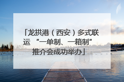 龙拱港（西安）多式联运 “一单制、一箱制” 推介会成功举办