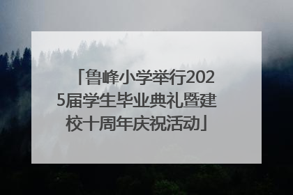 鲁峰小学举行2025届学生毕业典礼暨建校十周年庆祝活动
