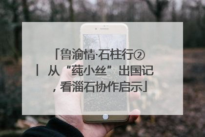 鲁渝情·石柱行② ︳从“莼小丝”出国记，看淄石协作启示