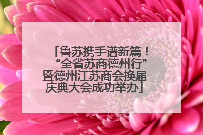 鲁苏携手谱新篇！“全省苏商德州行”暨德州江苏商会换届庆典大会成功举办