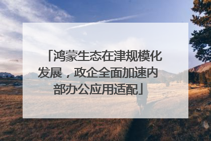 鸿蒙生态在津规模化发展，政企全面加速内部办公应用适配