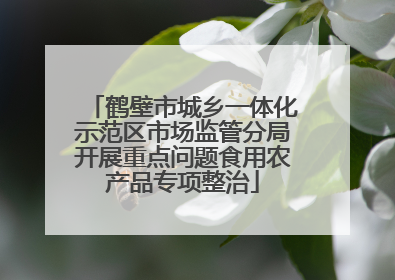 鹤壁市城乡一体化示范区市场监管分局开展重点问题食用农产品专项整治