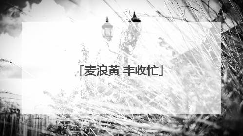麦浪黄 丰收忙