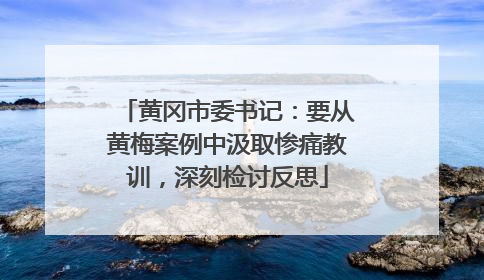 黄冈市委书记：要从黄梅案例中汲取惨痛教训，深刻检讨反思