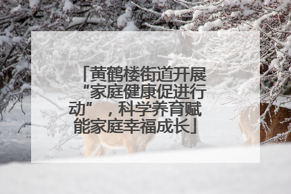黄鹤楼街道开展“家庭健康促进行动”，科学养育赋能家庭幸福成长