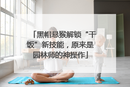 黑帽悬猴解锁“干饭”新技能，原来是园林师的神操作