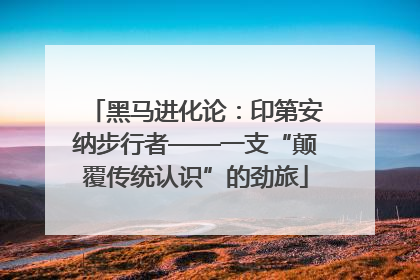 黑马进化论：印第安纳步行者——一支“颠覆传统认识”的劲旅