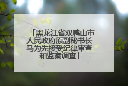 黑龙江省双鸭山市人民政府原副秘书长马为先接受纪律审查和监察调查