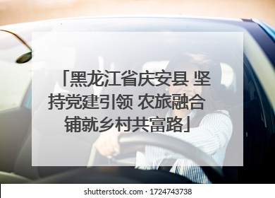 黑龙江省庆安县 坚持党建引领 农旅融合铺就乡村共富路