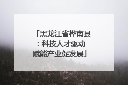 黑龙江省桦南县：科技人才驱动 赋能产业促发展