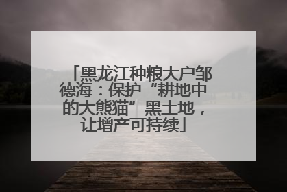 黑龙江种粮大户邹德海：保护“耕地中的大熊猫”黑土地，让增产可持续