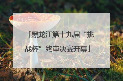 黑龙江第十九届“挑战杯”终审决赛开幕