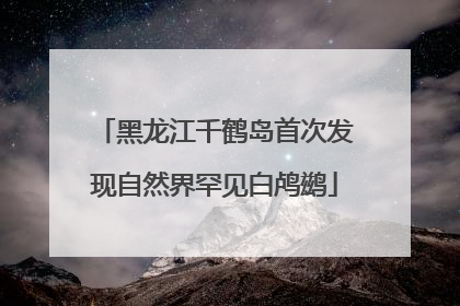黑龙江千鹤岛首次发现自然界罕见白鸬鹚