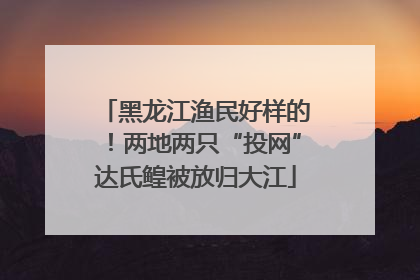 黑龙江渔民好样的！两地两只“投网”达氏鳇被放归大江
