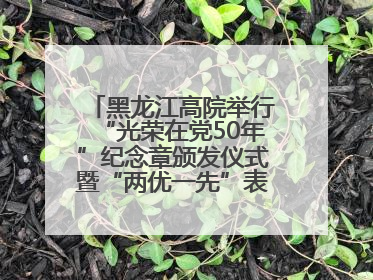 黑龙江高院举行“光荣在党50年”纪念章颁发仪式暨“两优一先”表彰大会