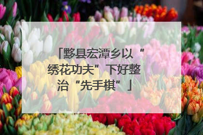 黟县宏潭乡以“绣花功夫”下好整治“先手棋”