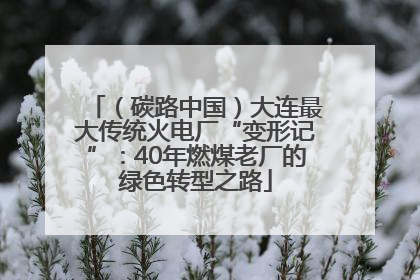 （碳路中国）大连最大传统火电厂“变形记”：40年燃煤老厂的绿色转型之路