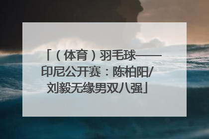 （体育）羽毛球——印尼公开赛：陈柏阳/刘毅无缘男双八强