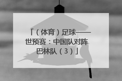 （体育）足球——世预赛：中国队对阵巴林队（3）
