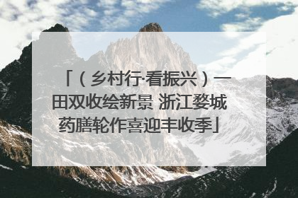 （乡村行·看振兴）一田双收绘新景 浙江婺城药膳轮作喜迎丰收季